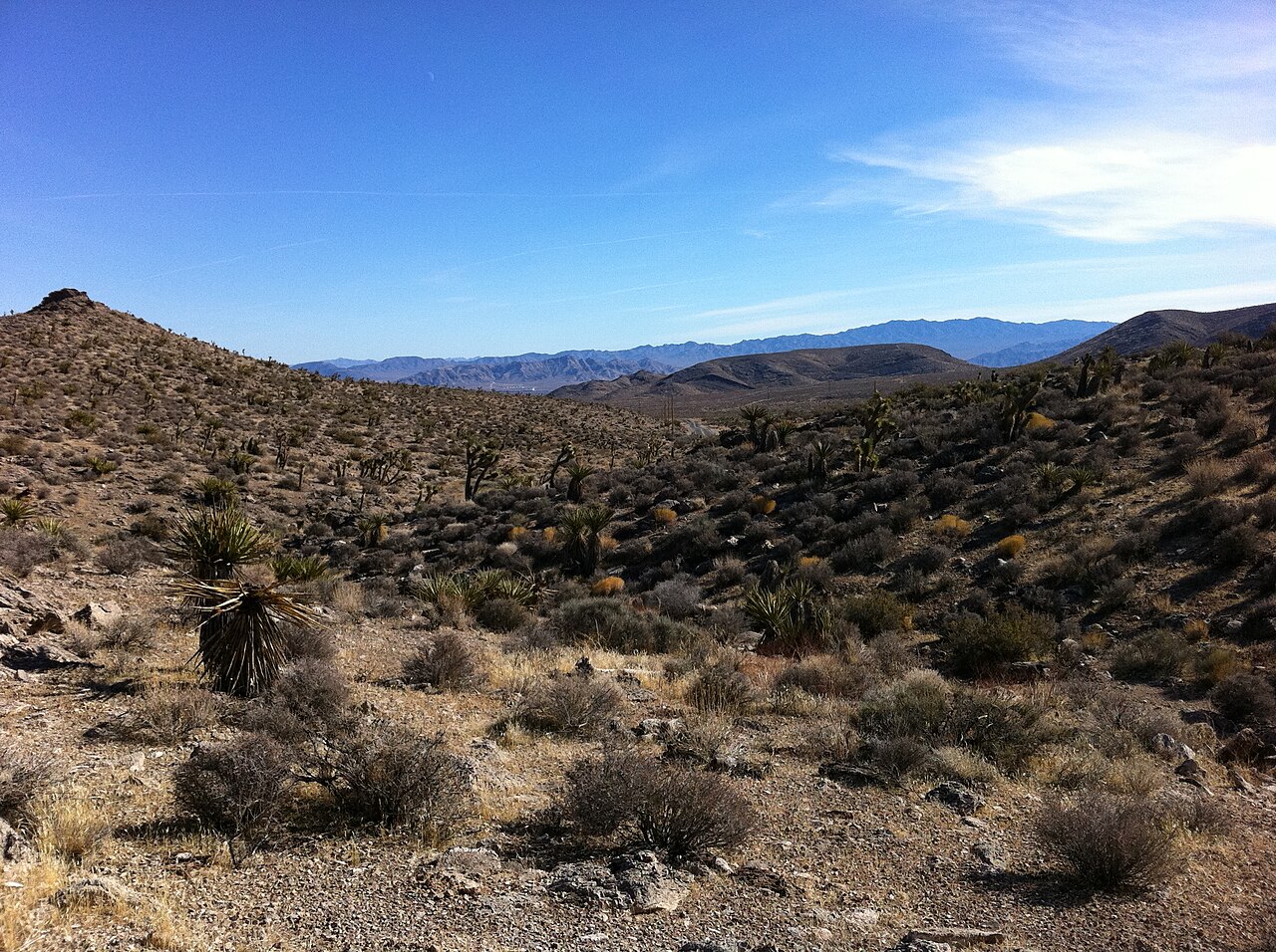 Mojave Wasteland