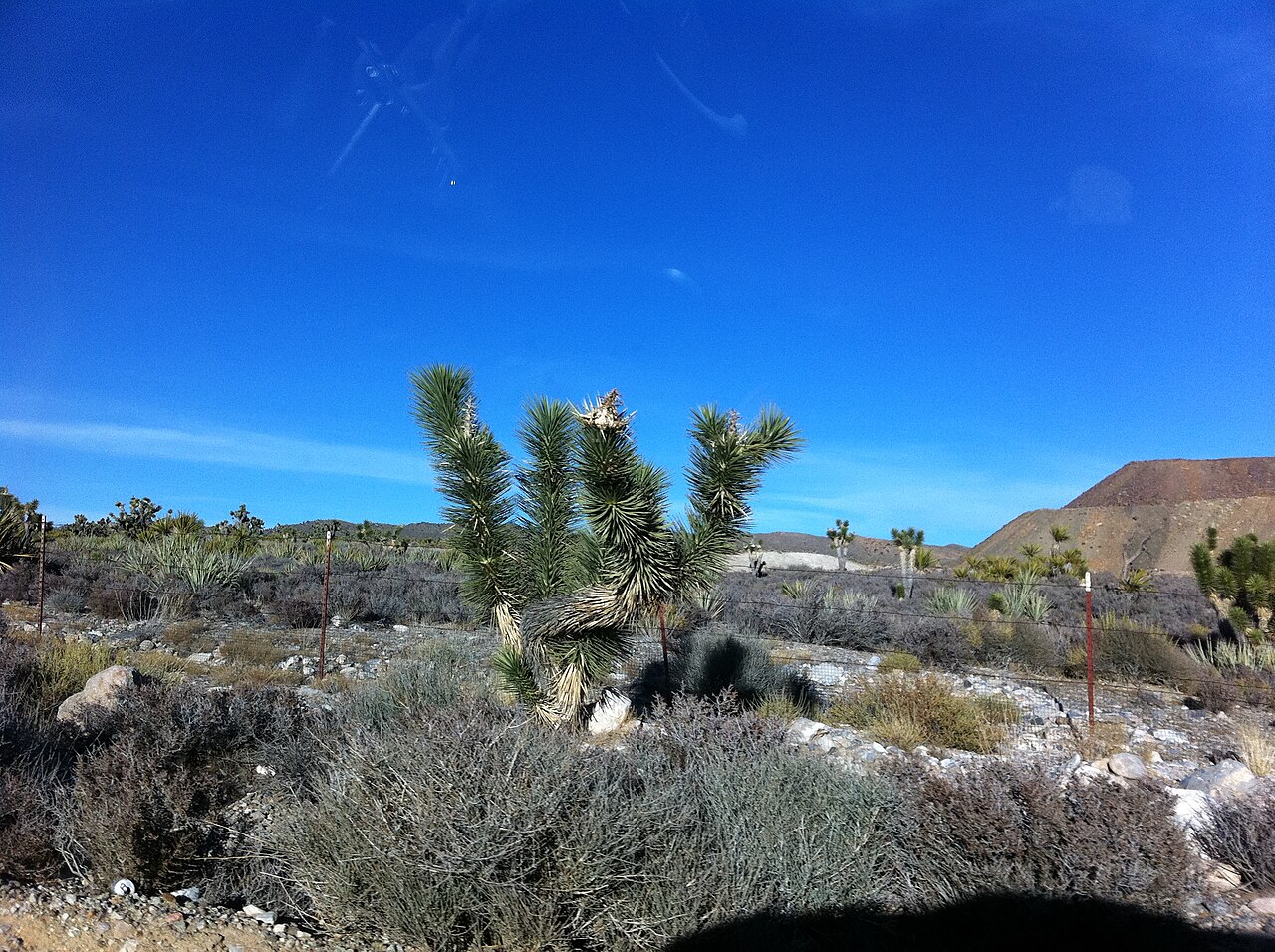 Mojave Wasteland