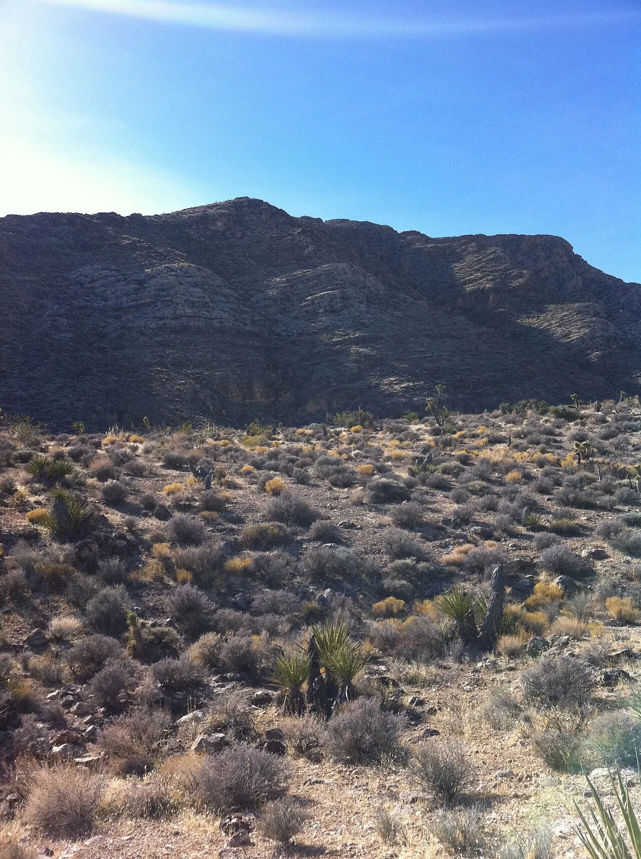 Mojave Wasteland